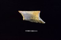 陶罐藏品圖，第2張